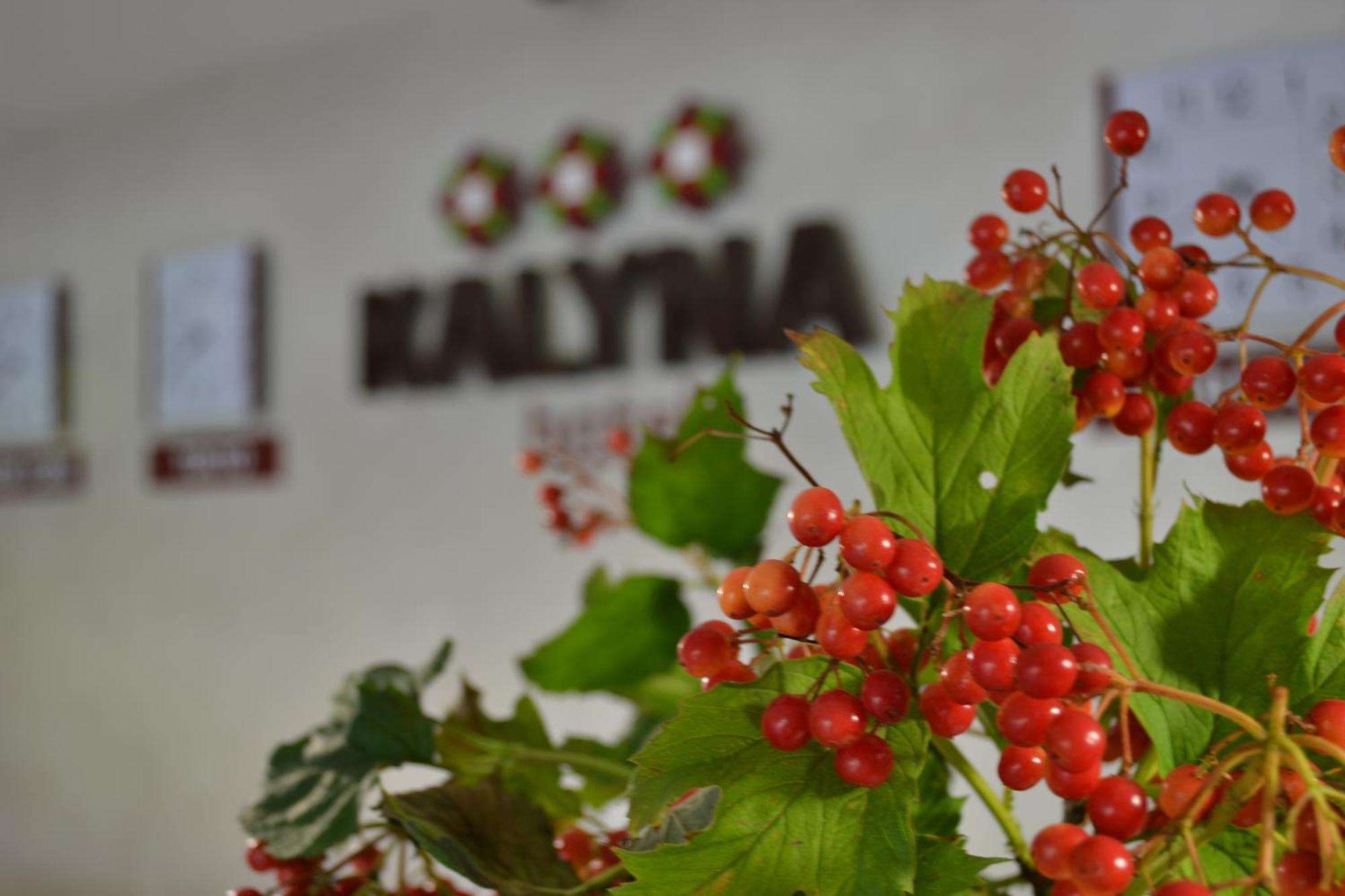 Hotel Kalyna Kharkiv Eksteriør billede